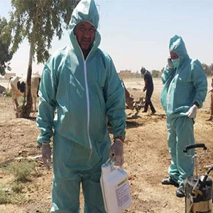 ظهور بیماری ابولا در عراق موجب نگرانی مردم شد