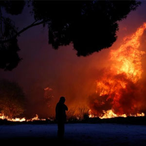 تصاویر/ جهنمی که آتش در جنگل‌های یونان به پا کرد/ مرگ ۱۶ کودک در آتش
