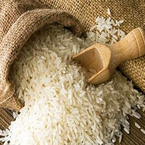 برنج تراریخته وارد نمی شود/ آغاز برچسب گذاری محصولات