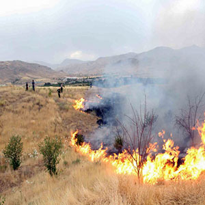 آتش زدن عمدی جنگل و مرتع 3 تا 10 سال حبس دارد