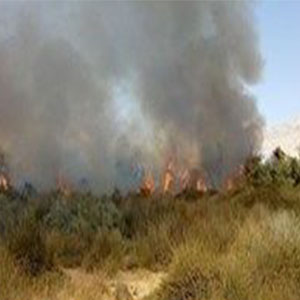 هشدار بهداشتی به خوزستانی‌ها در خصوص دودناشی از آتش‌سوزی هورالعظیم