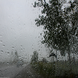 بارش پراکنده در راه/افزایش سرعت وزش باد در شرق و جنوب شرق کشور