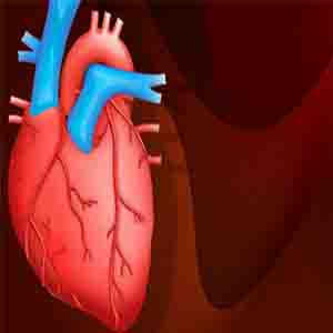 کشف روش جدید تشخیص بیماری قلبی عروقی