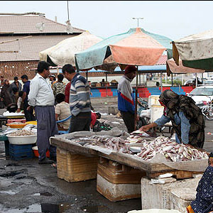 خرید ماهی از دستفروشان ممنوع