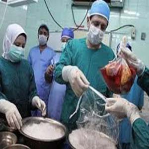 پیوند مرگ به زندگی در آخرین نفس پیوند مرگ به زندگی در آخرین نفس