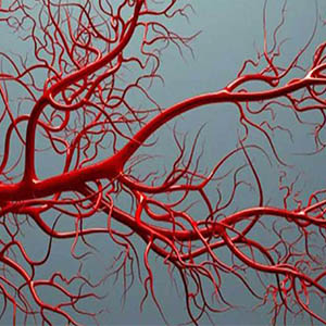 رشد رگ های خونی با نانو ذرات رُس