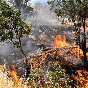 آتش‌سوزی جنگل‌های کبیرکوه شهرستان ملکشاهی مهار شد