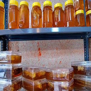 کشف کارگاه تولید عسل تقلبی در اردبیل