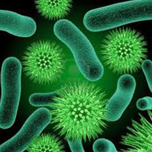 وجود ۴۰۰ نوع میکروب در روده انسان/ افزایش بیماری‌های مشترک انسان و دام