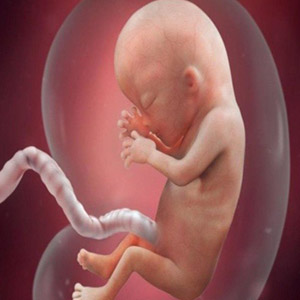 مراجعه 718 نفربرای دریافت مجوز سقط به مراکز پزشکی قانونی پایتخت