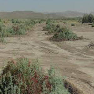 شناسایی 4 کانون گردوغبار در آذربایجان غربی/ بیابان‌زایی در حاشیه دریاچه ارومیه
