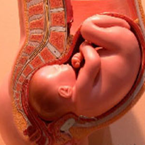 تأثیر گرد و غبار بر روی جنین در دوران بارداری