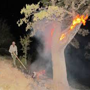 شهادت یک سرباز حین خاموش کردن آتش سوزی جنگل در ایلام