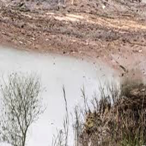 اختصاص اعتبار برای مقابله با آثار خشکسالی در برخی از زیستگاه‌ها و تالاب‌ها