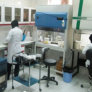 ورشکستگی آزمایشگاه ها دور از انتظار نیست/درخواست از وزارت بهداشت