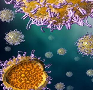خطر جدی آنفولانزا برای سلامت جهانی