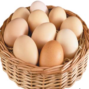 تخم‌مرغ‌ را قبل مصرف نشویید