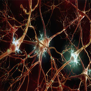 توسعه یک روش ژن‌درمانی جدید برای ایجاد نورون!