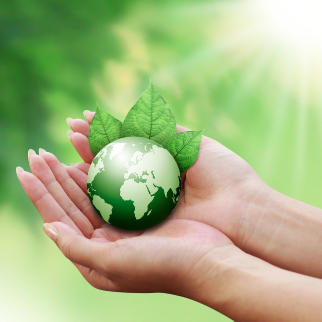 ۱۰ راهکار ساده برای حفاظت از محیط زیست