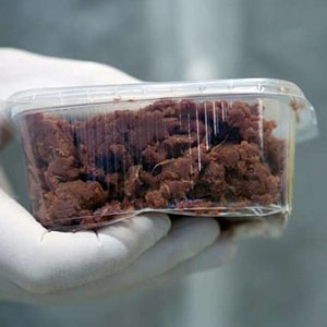 گوشت مصنوعی به سبد غذایی مردم وارد می‌شود
