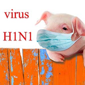 گرجستان، منشا آنفلوانزای خوکی/از سفرهای غیرضروری به این کشور خودداری کنید