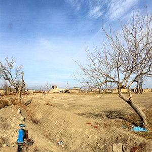 زمین‌های حاصلخیز دیروز، امروز کویر و پناهگاه موش شده/وضعیت بد خانواده‌های کشاورزان