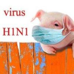 مشاهده آنفلوانزای خوکی در ایران