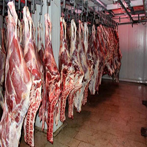 تسهیلات جدید برای واردات گوشت