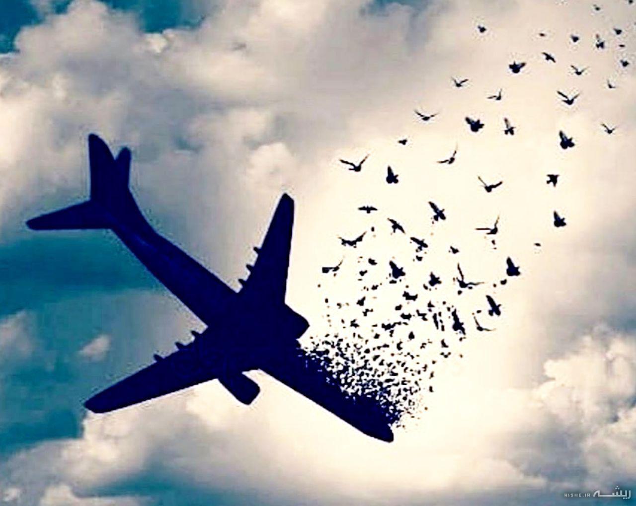 خانواده‌های قربانیان حادثه پرواز یاسوج :مقصران اصلی را معرفی کنید