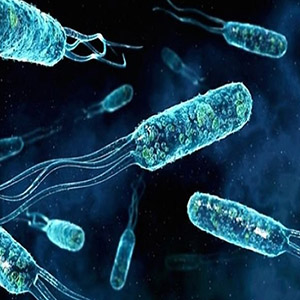 چرا باکتری‌ها به آنتی‌بیوتیک‌ مقاوم می‌شوند؟