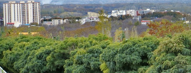 باغ‌کشی در تهران با متری یک میلیون/ سخن از تغییر کاربری ۱۶ هکتار زمین سبز است!