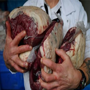 بیوتروریسم مصرف گوشت یخی شایعه است