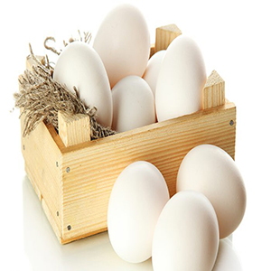 ادعای تازه درباره کلسترولِ تخم مرغ