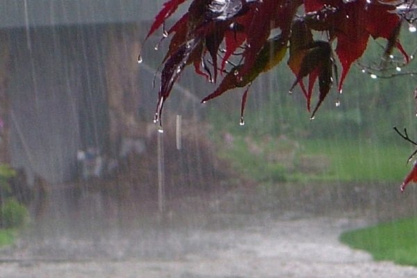 وضعیت بارش‌های کشور در بهار ۹۸