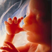 آسیب به DNA اسپرم منجر به سقط جنین مکرر می شود