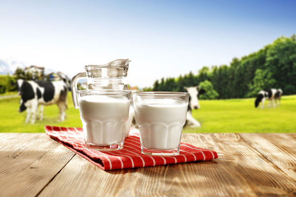 مصرف شیر یکی از مهمترین‌ شاخص‌های توسعه فرهنگی است