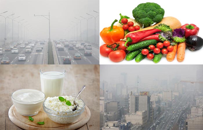 نقش مؤثر تغذیه سالم در کاهش مضرات هوای آلوده