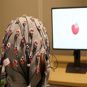 جوان‌سازی مغز با تحریک الکتریکی