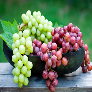 عصاره دانه انگور موجب بهبود سندروم متابولیک می شود