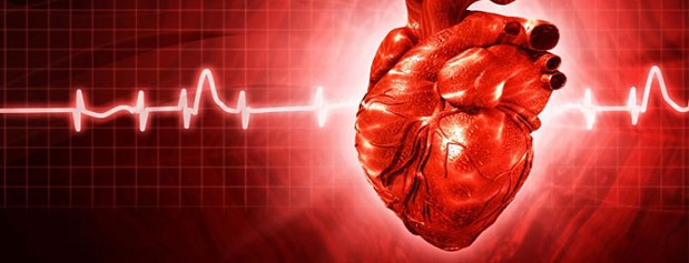 14 عامل خطرآفرین برای بیماری قلبی!