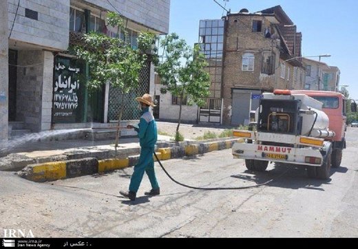 هجوم کرم‌های پشمالو به شهری در استان البرز