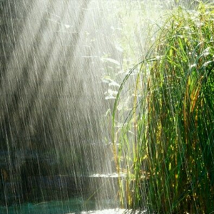 بارش باران در راه ۱۴ استان کشور
