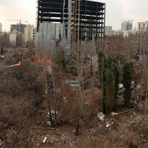 نابودی باغات تهران؛ از شهرداری دوران قالیباف تا هم اکنون