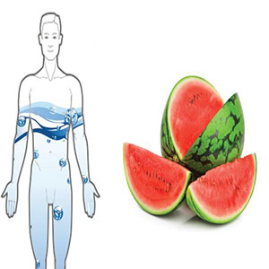 میوه و سبزیجاتی که آب بدنتان را در تابستان تامین می‌کنند