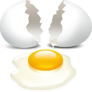 کدام قسمت تخم مرغ غنی از پروتئین است؟ زرده یا سفیده؟