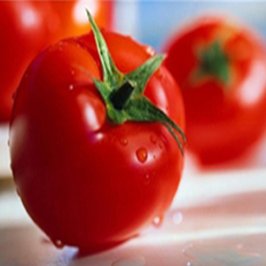 پیشگیری از بازگشت سنگ کلیه با مصرف «خربزه» و «گوجه فرنگی»