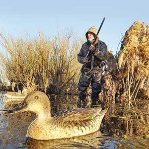 محیط‌زیست شکارچی اردک شد