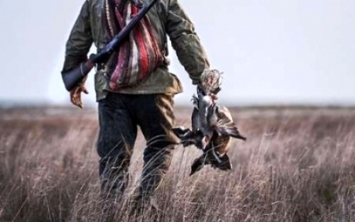 ​ممنوعیت شکار پرندگان مهاجر در گلستان