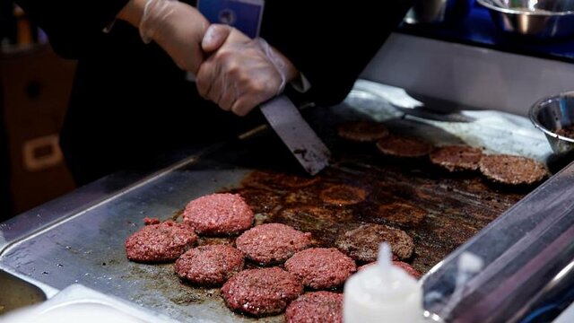 مرگ ۲۵ نفر در آلمان درپی مصرف گوشت آلوده