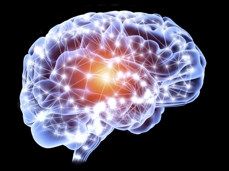 آسیب مغز یکی از عوامل اختلالات روانی